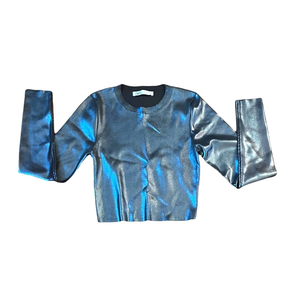 Long Sleeve Metallic Zara Top